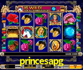 Descubra a Magia dos Jogos de Arcade no princesapg